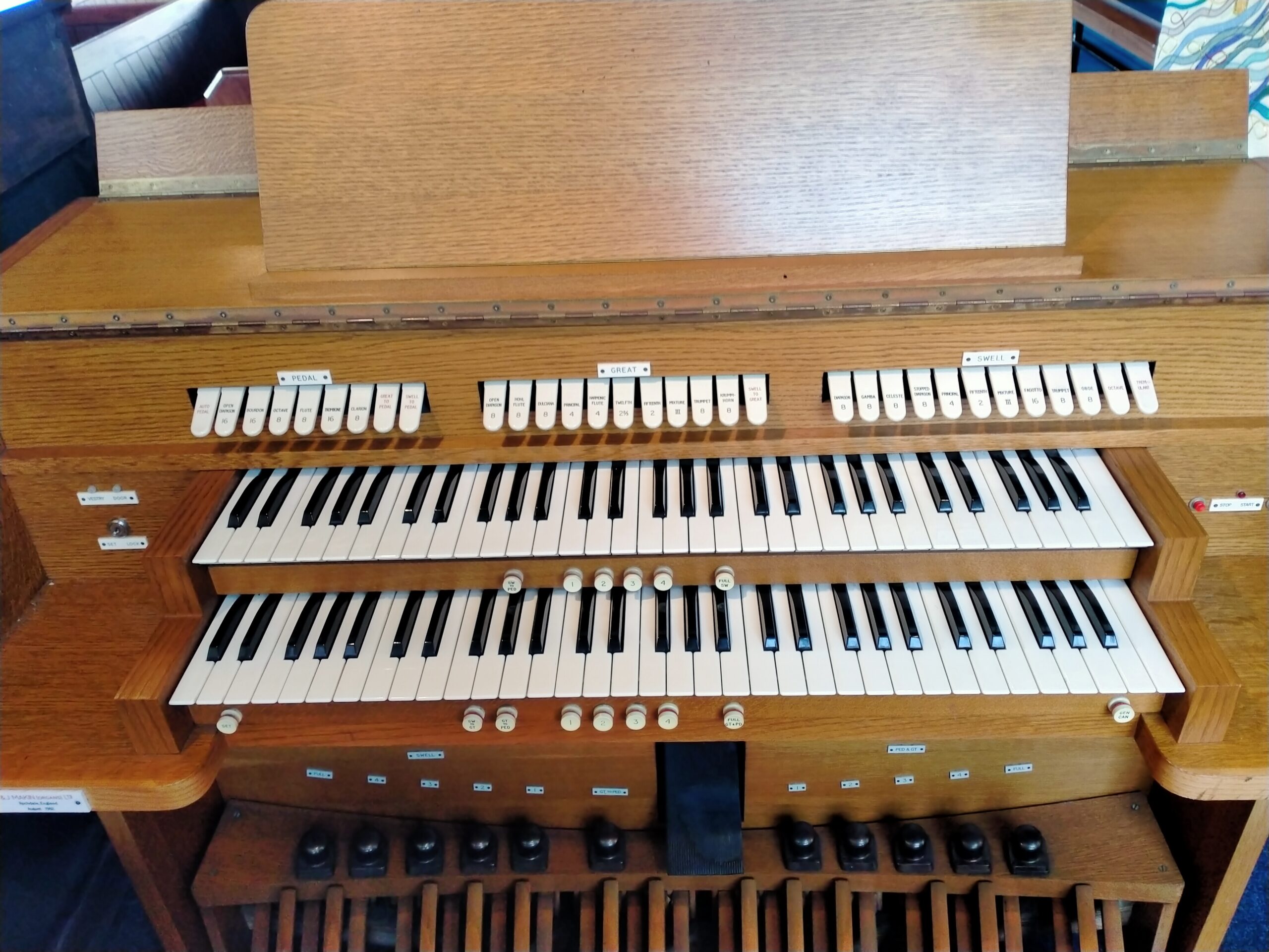 organ_pic2.jpg